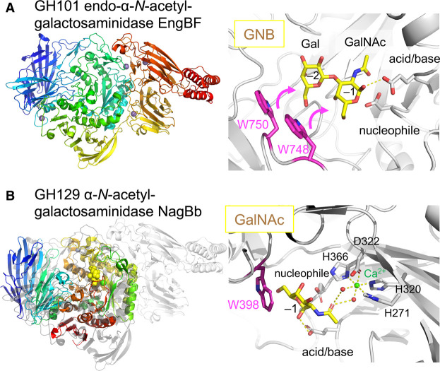 Figure 4.