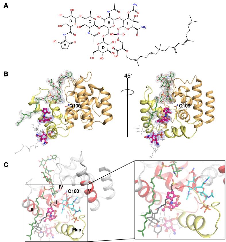 Fig. 1