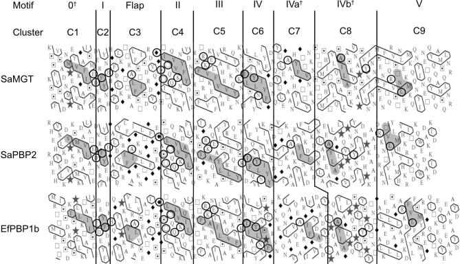 Fig. 4