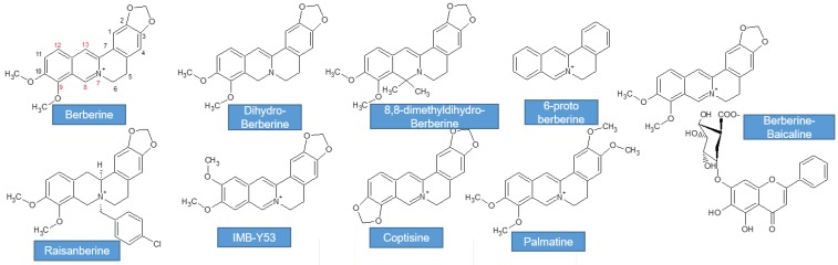 Figure 7