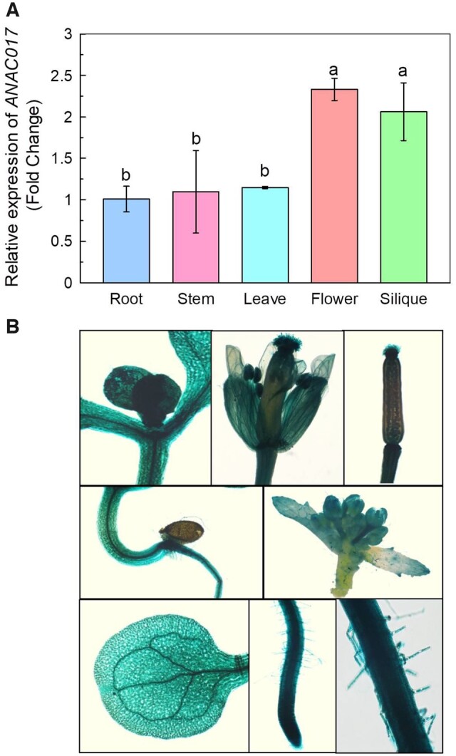 Figure 5