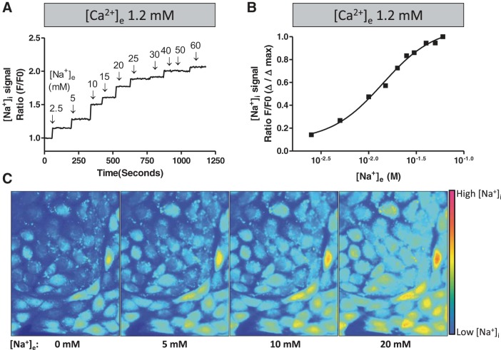 Fig. 3.