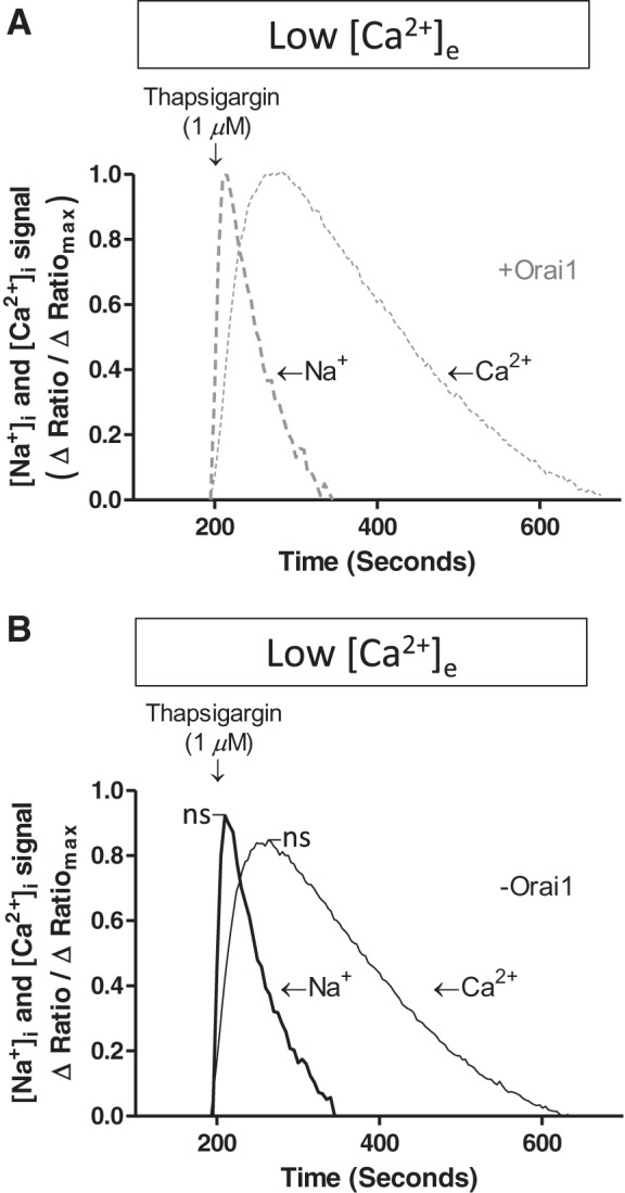 Fig. 6.