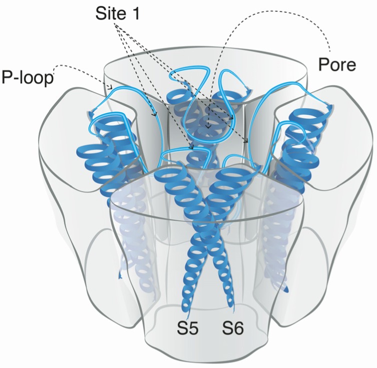 Figure 5