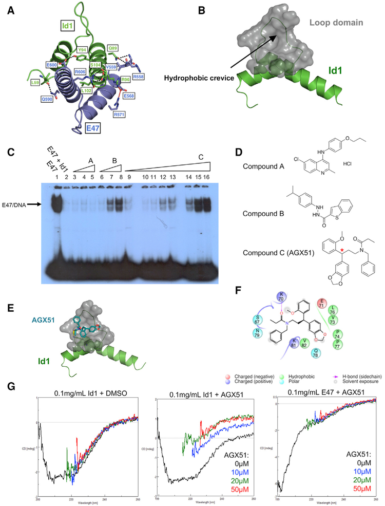 Figure 2.