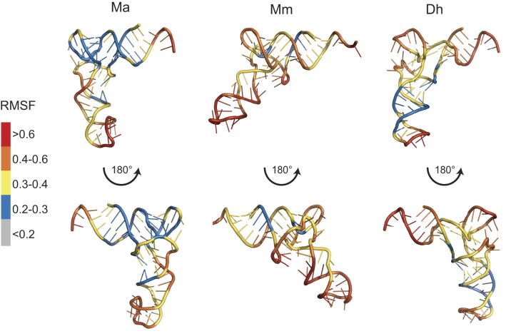 Figure 5.