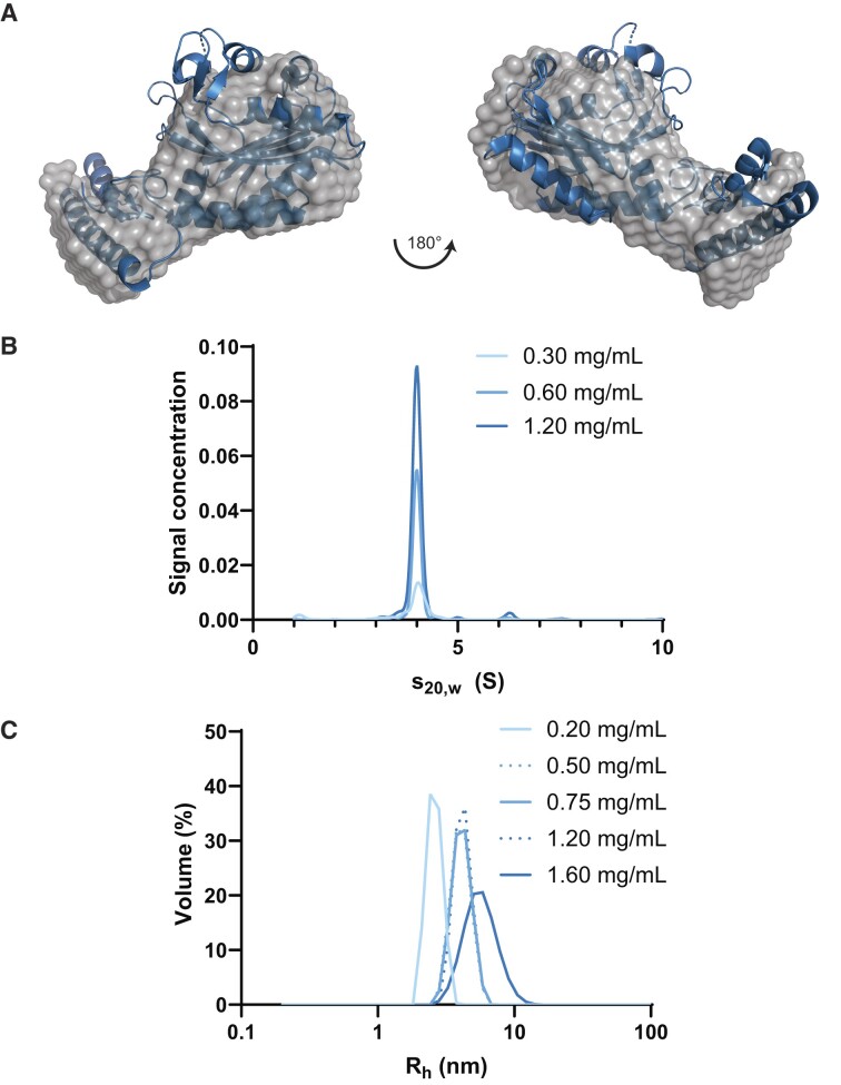 Figure 7.