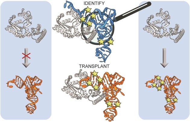 Graphical Abstract