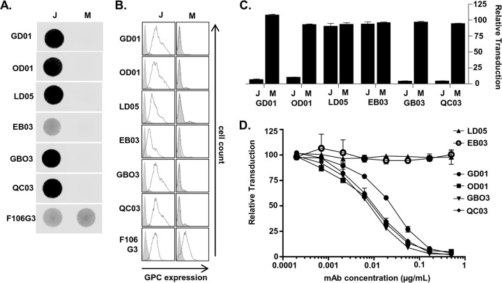 FIG 1