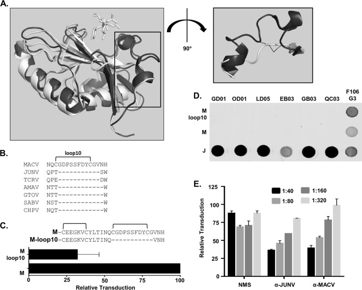 FIG 6