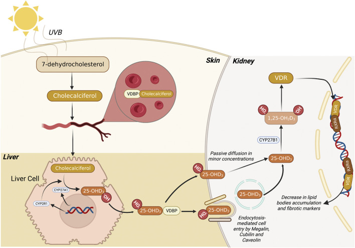 FIGURE 1