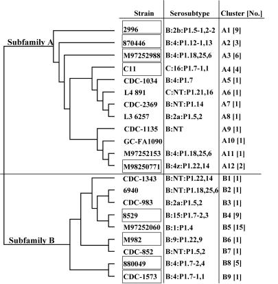 FIG. 1.