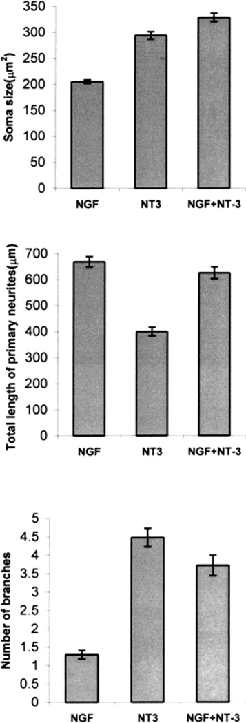 Fig. 12