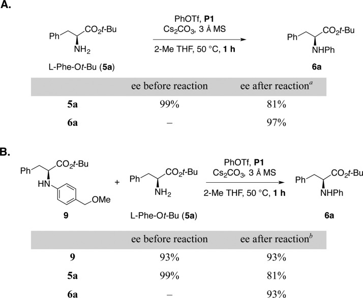 Scheme 3