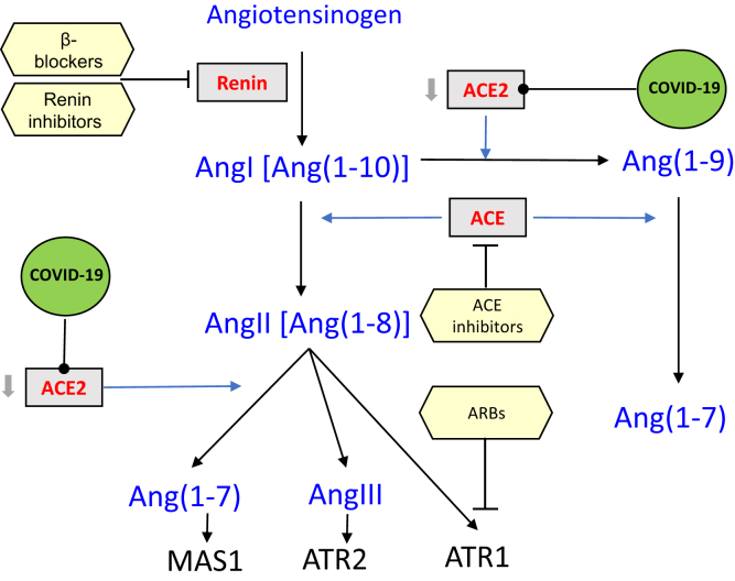 Figure 1