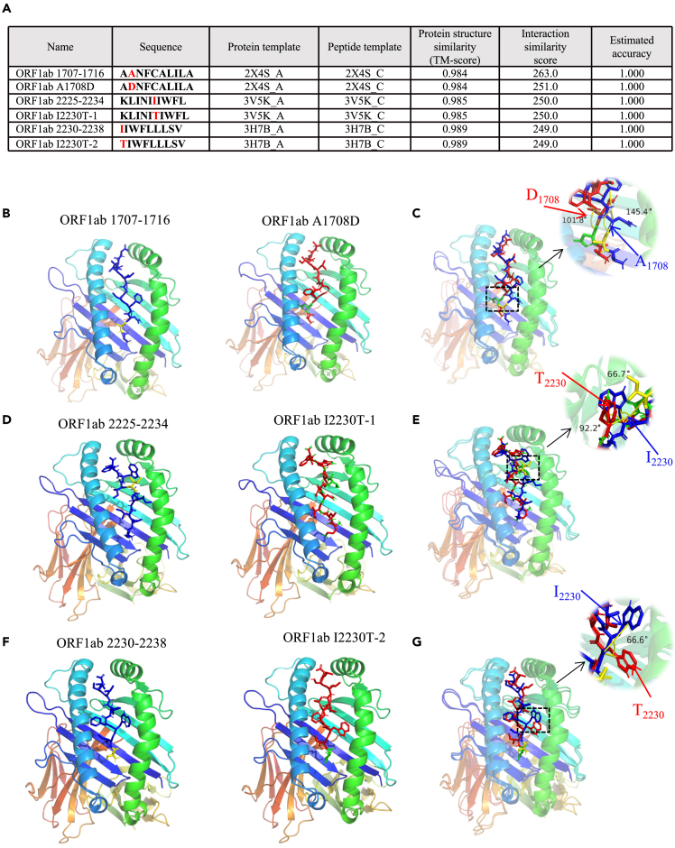 Figure 6