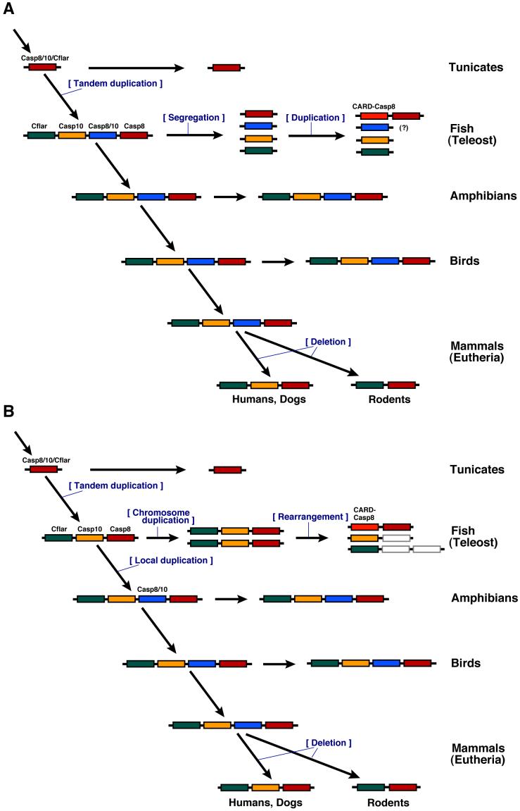 Fig.4