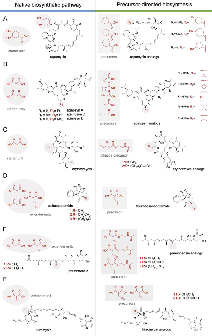 Fig. 6