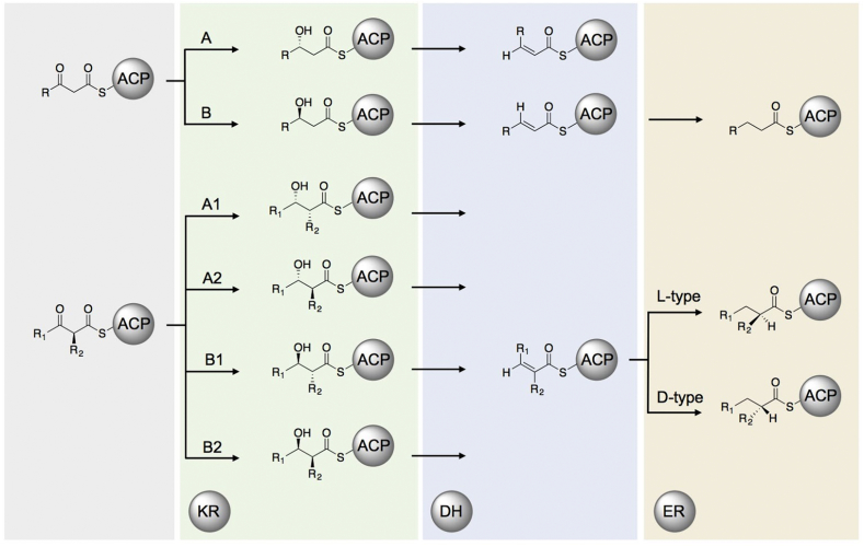 Fig. 4