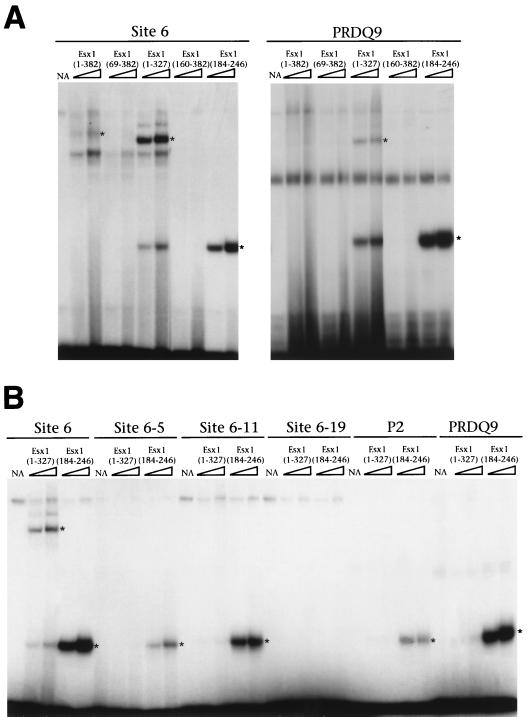 FIG. 6