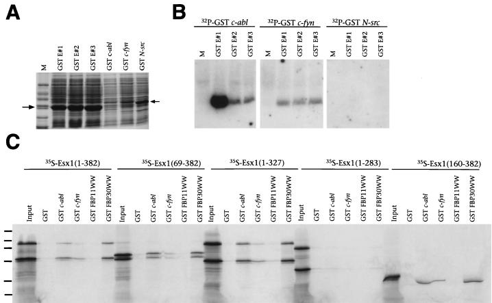 FIG. 7