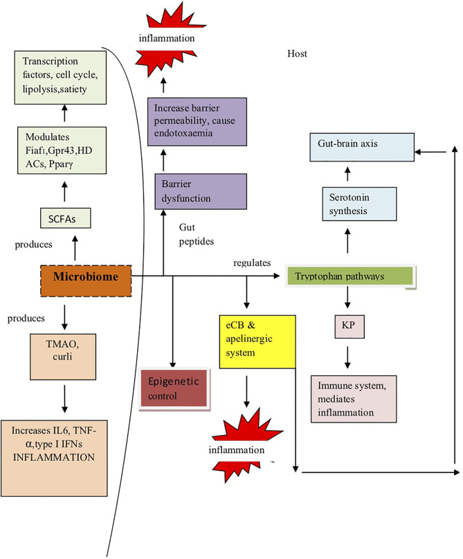 Figure 2