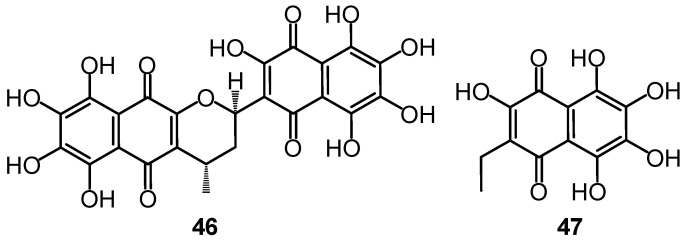 Figure 20