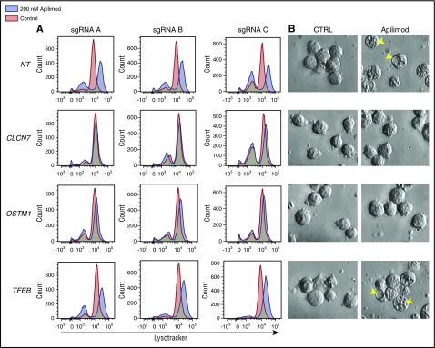 Figure 6.