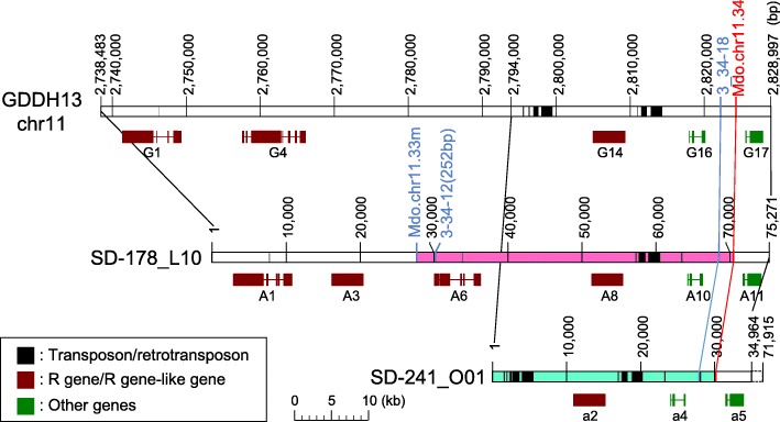 Fig. 2