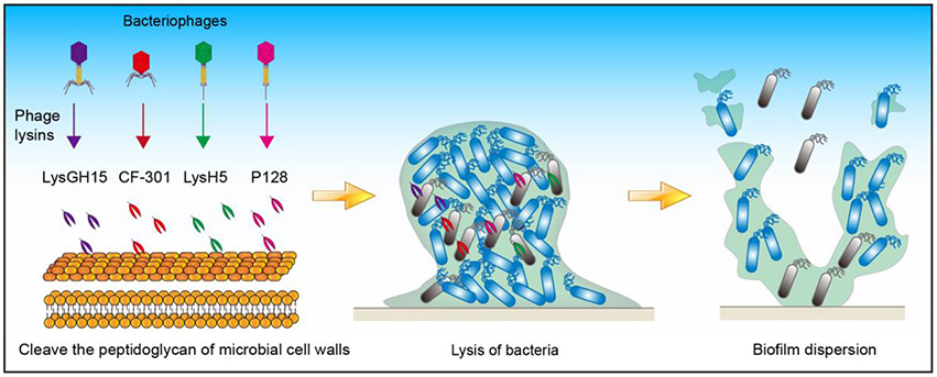 Figure 5.