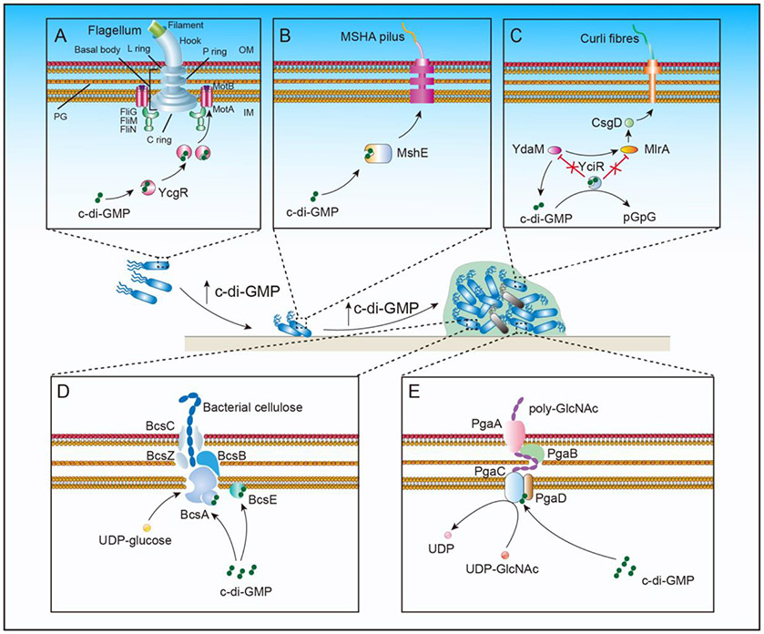 Figure 3.