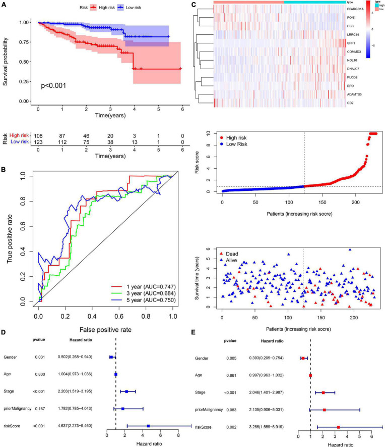 FIGURE 12