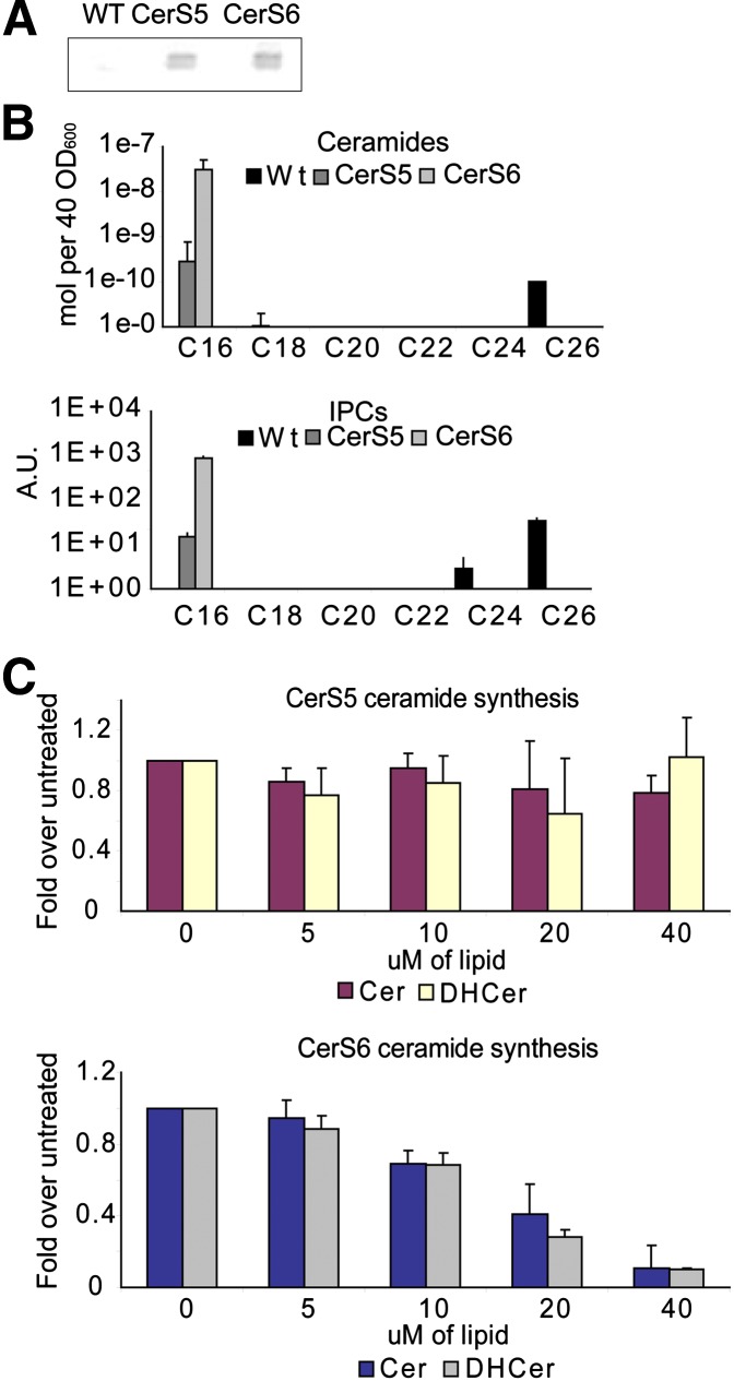 Fig. 6.