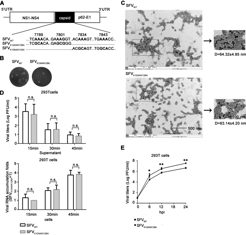 FIG 6