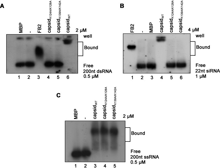 FIG 5