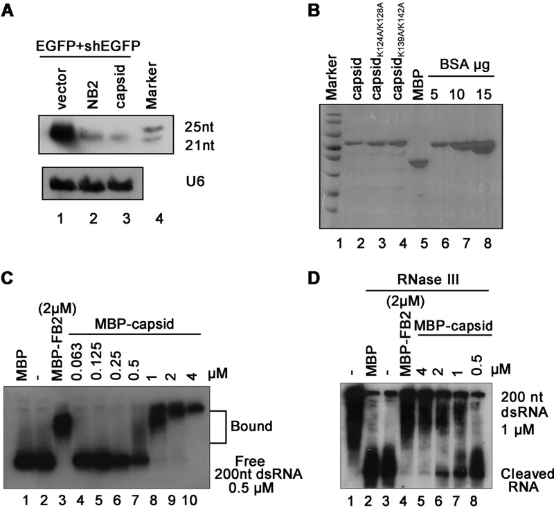 FIG 2