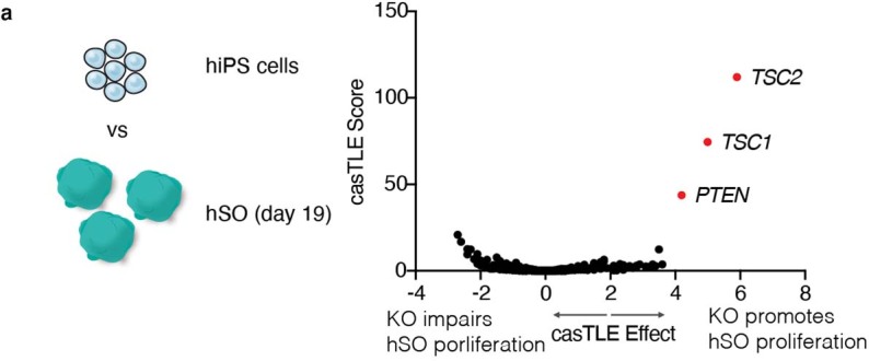 Extended Data Fig. 3