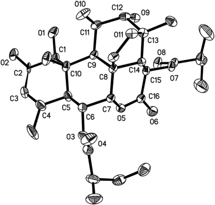 FIG. 2.