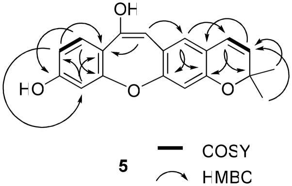 Figure 8