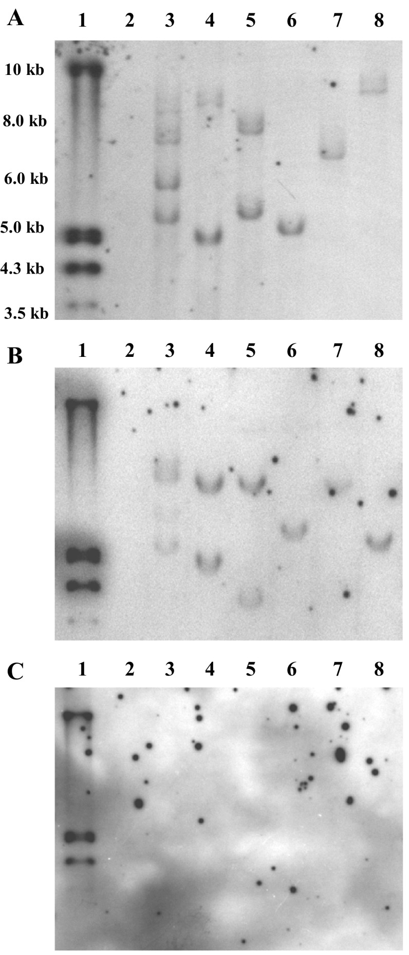 Fig. 6