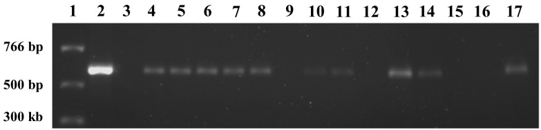 Fig. 7