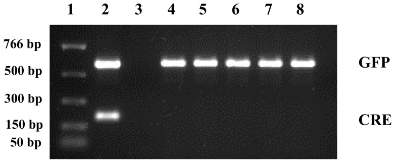 Fig. 5