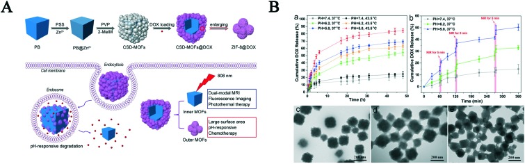 Fig. 6