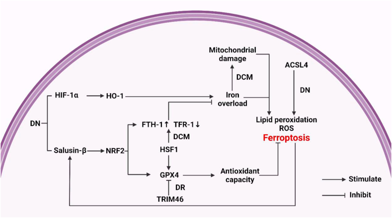 Figure 3