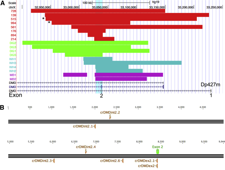 Figure 1