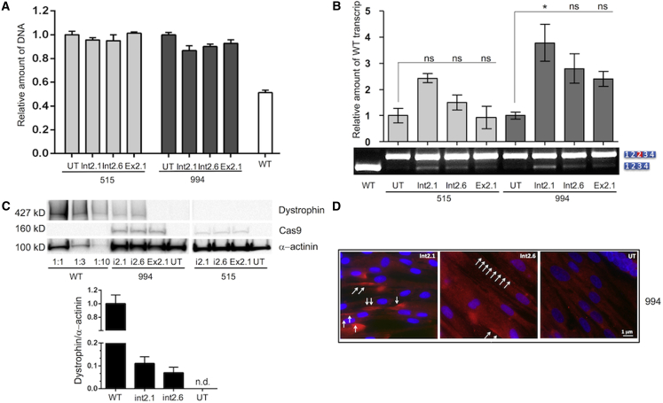 Figure 3