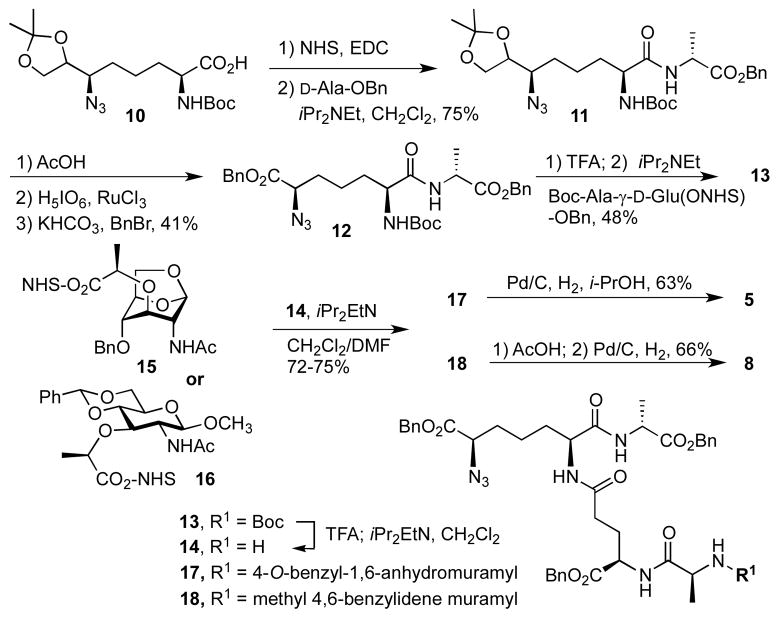 Scheme 1