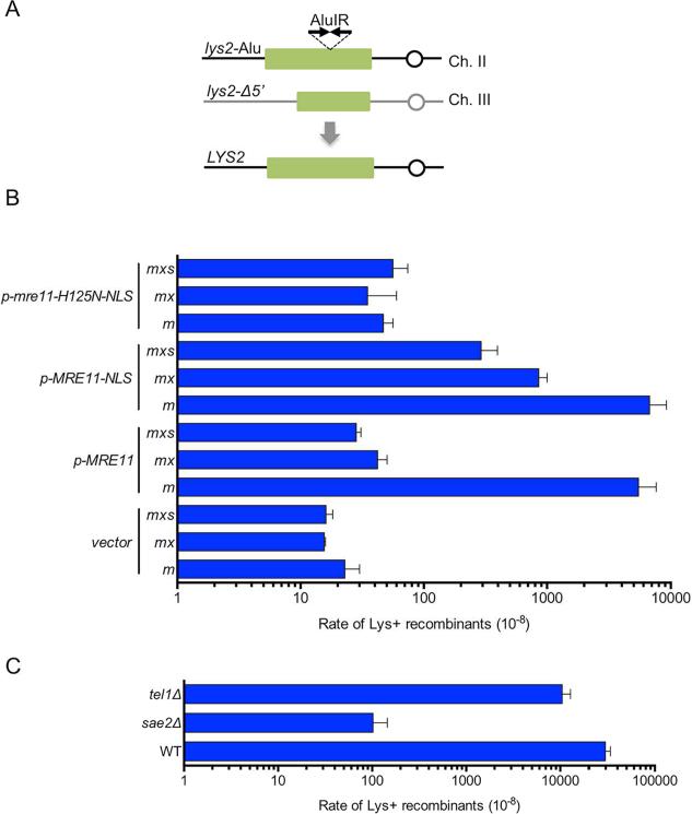 Figure 5