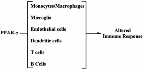 Fig. (1)