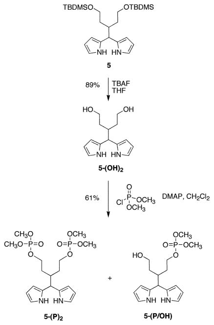 Scheme 4